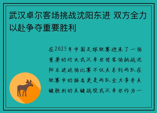 武汉卓尔客场挑战沈阳东进 双方全力以赴争夺重要胜利